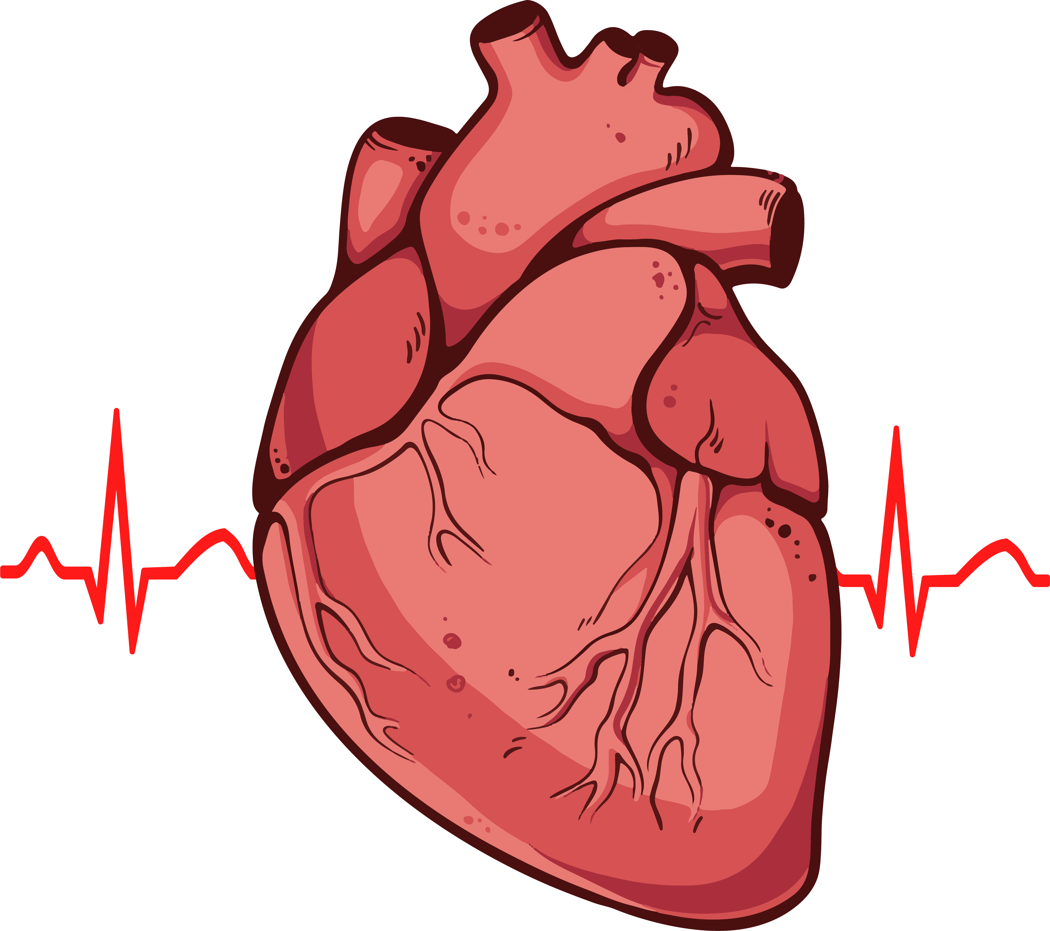 Real heart clipart 2