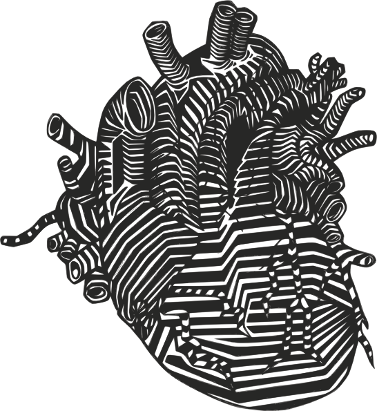 Real heart heart clip art at vector clip art free