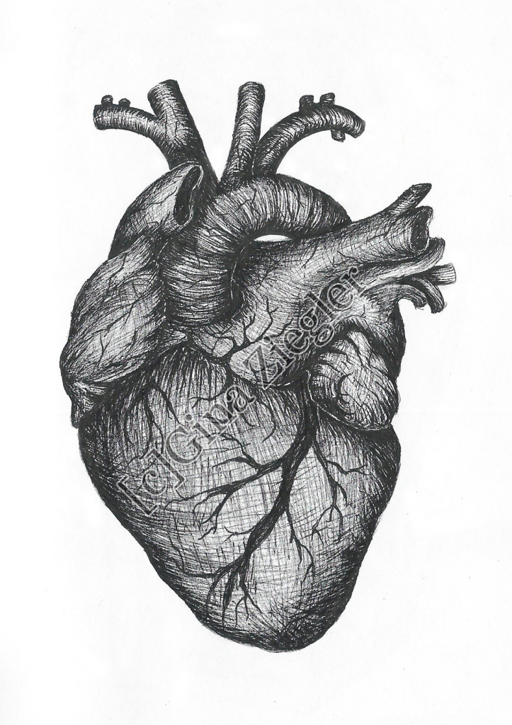 Real heart heart drawing tumblr real sketch free download clip art