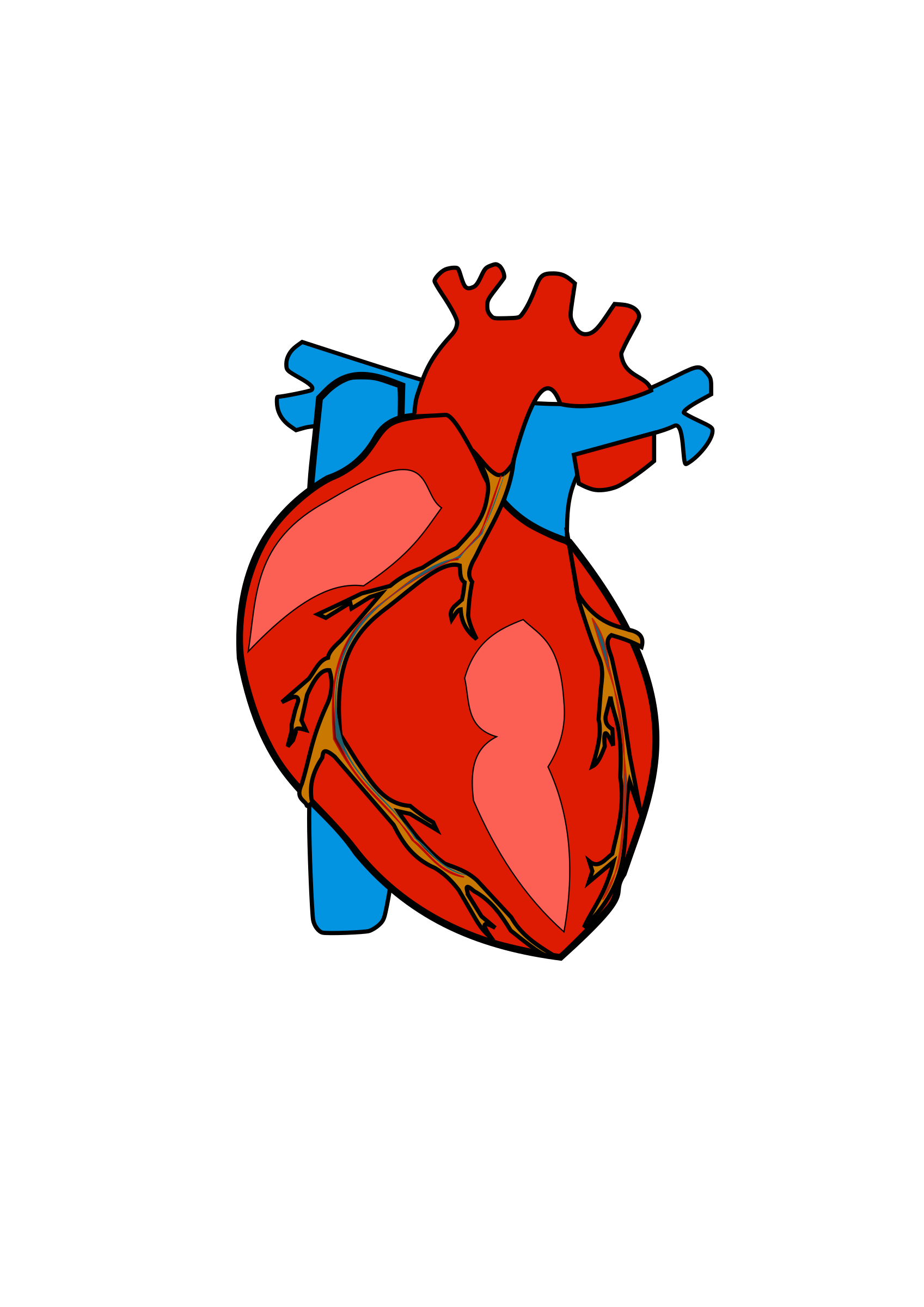 Real heart human heart clipart clipground 2