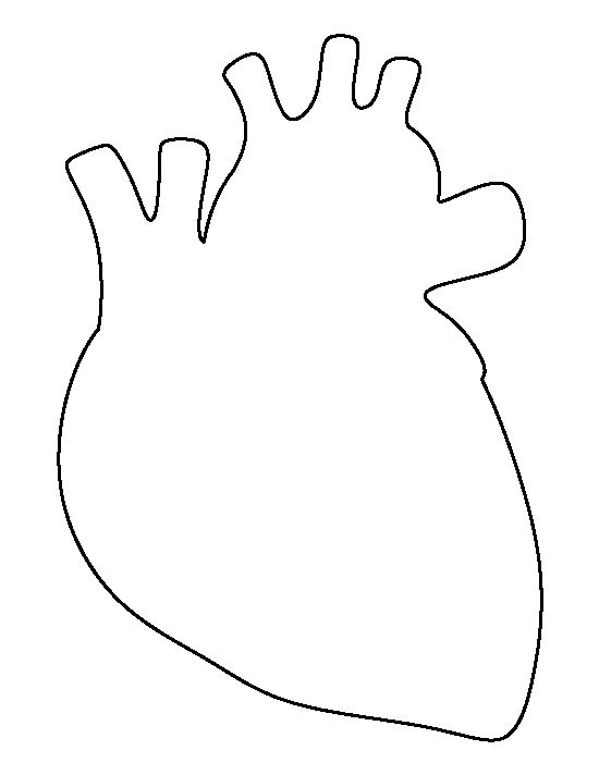 Free Heart Human, Download Free Clip Art, Free Clip Art on Clipart Library