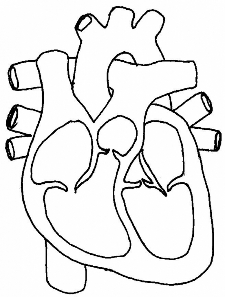 Real heart the label of a human heart real clipart clip art