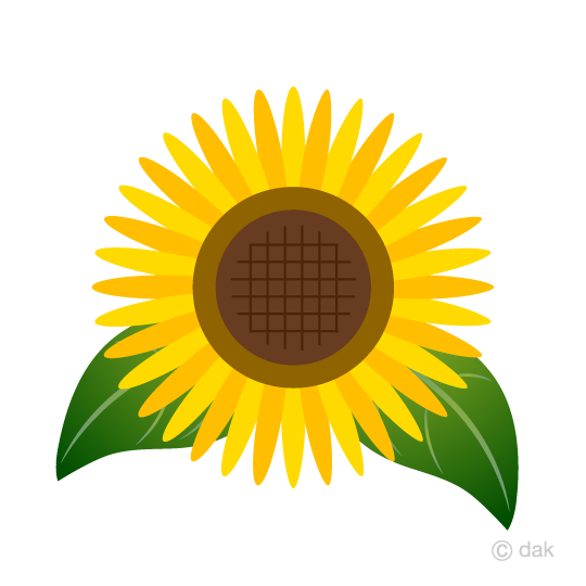 Sunflower Free Free Simple Sunflower Clip Art Image Cartoon Wikiclipart