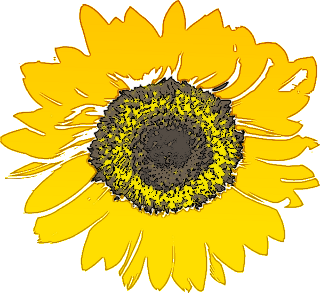 Sunflower  free free sunflower clipart flower clip art images and 2