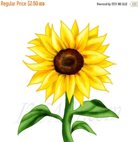 Sunflower  free pumpkin and sunflower clipart free clipground