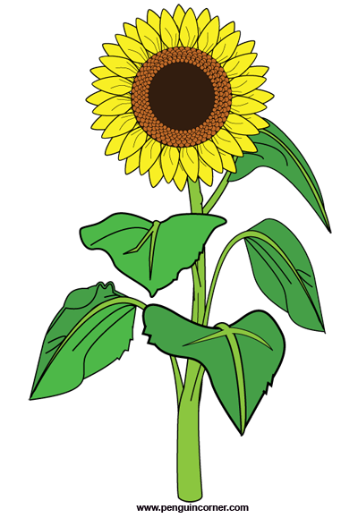 Sunflower  free sunflower clip art free clipart images 2 clipartbold