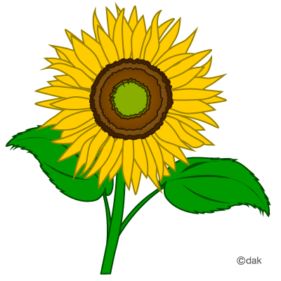 Sunflower  free sunflower clip art free clipart images clipartbold
