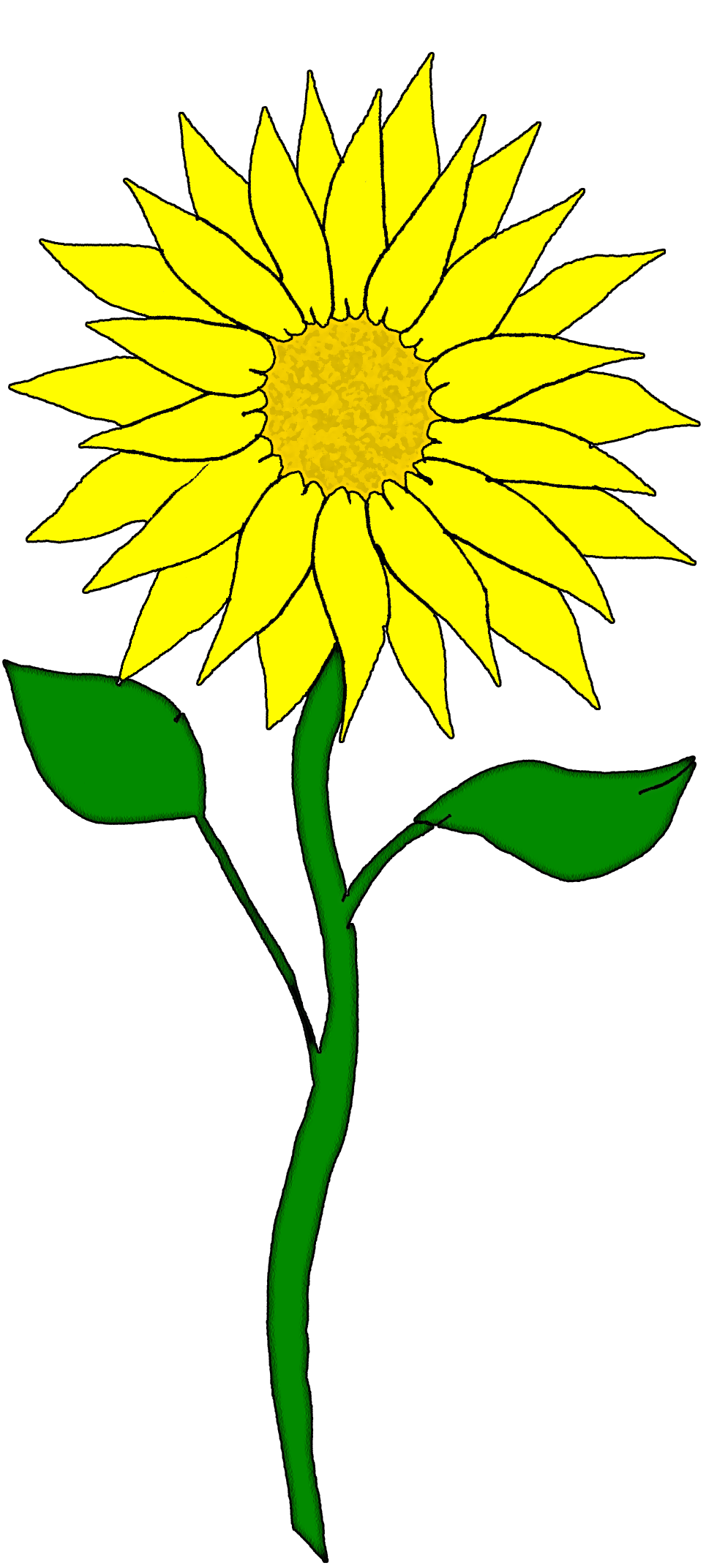 Sunflower  free sunflower clip art free clipart images