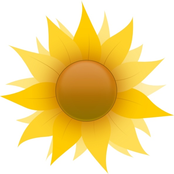 Sunflower  free sunflower clip art free vector in open office drawing svg
