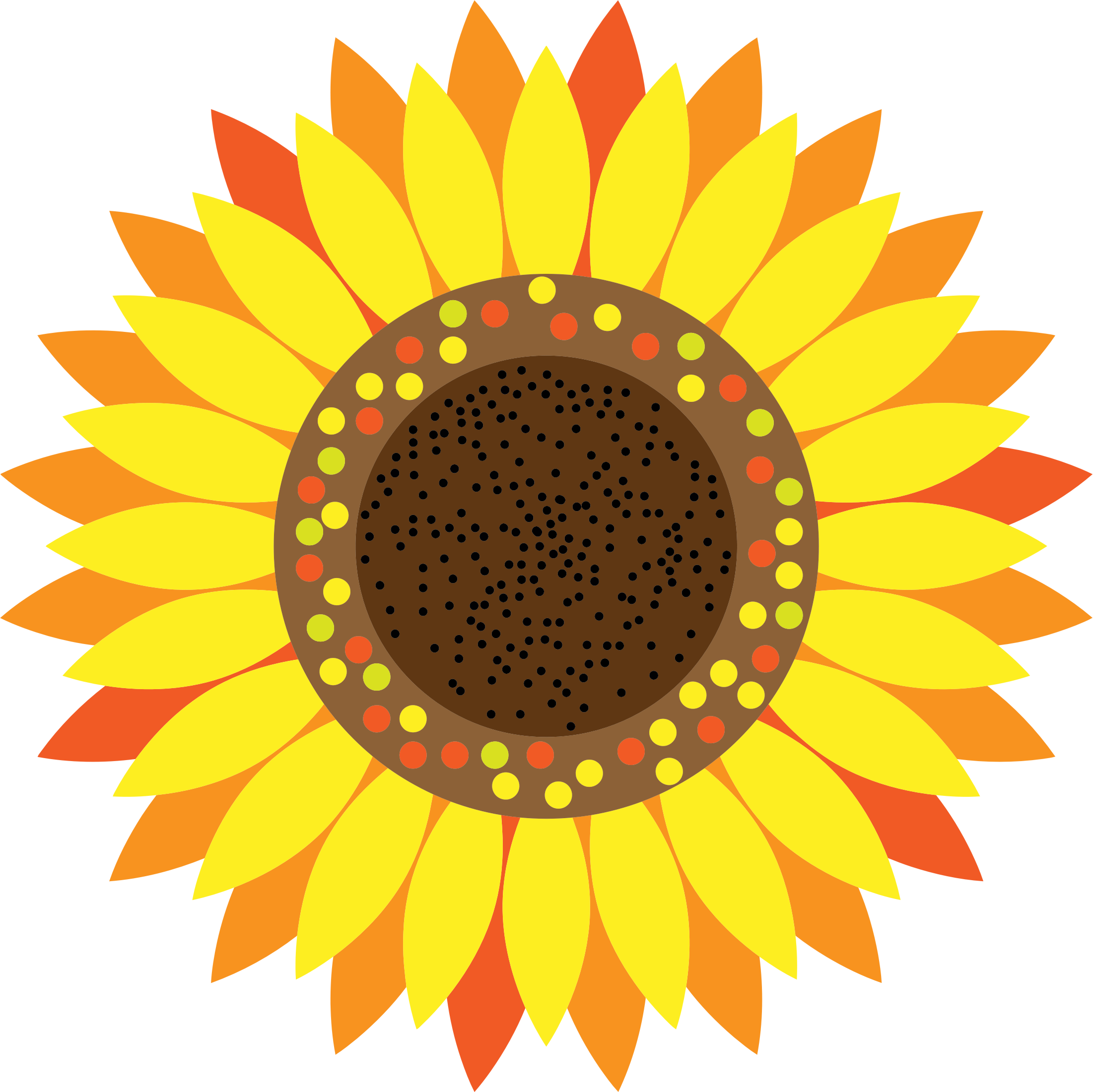 Sunflower  free sunflower clip art pictures free clipart images clipartbarn