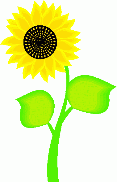 Sunflower  free sunflower clipart free