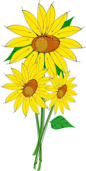 Sunflower  free sunflowers clip art free vector 4vector