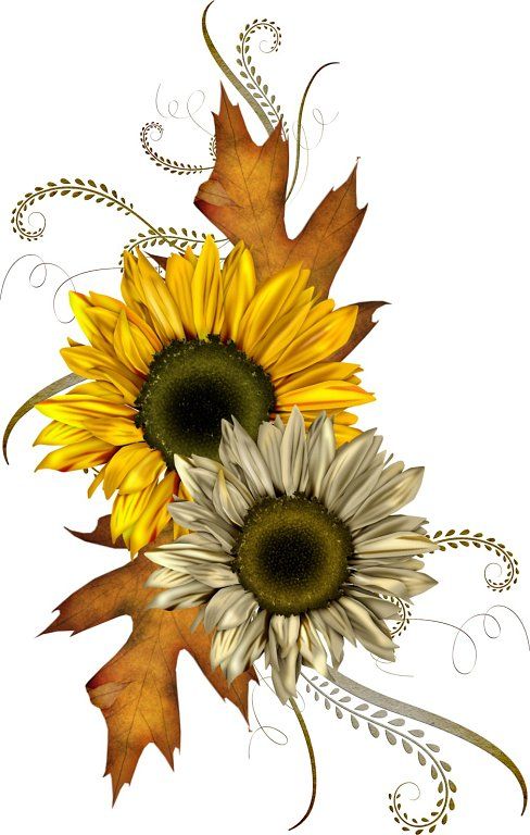 Sunflower  free top fall clip art free clipart image